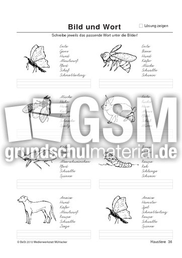 BuW Haustiere36.pdf